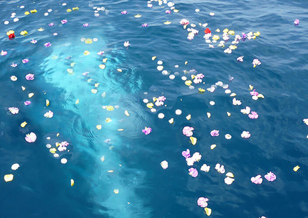 海洋葬